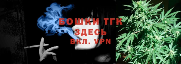 мяу мяу мука Инсар