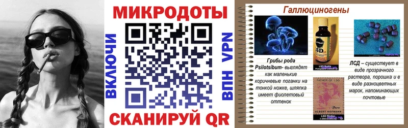 Галлюциногенные грибы прущие грибы Каменногорск